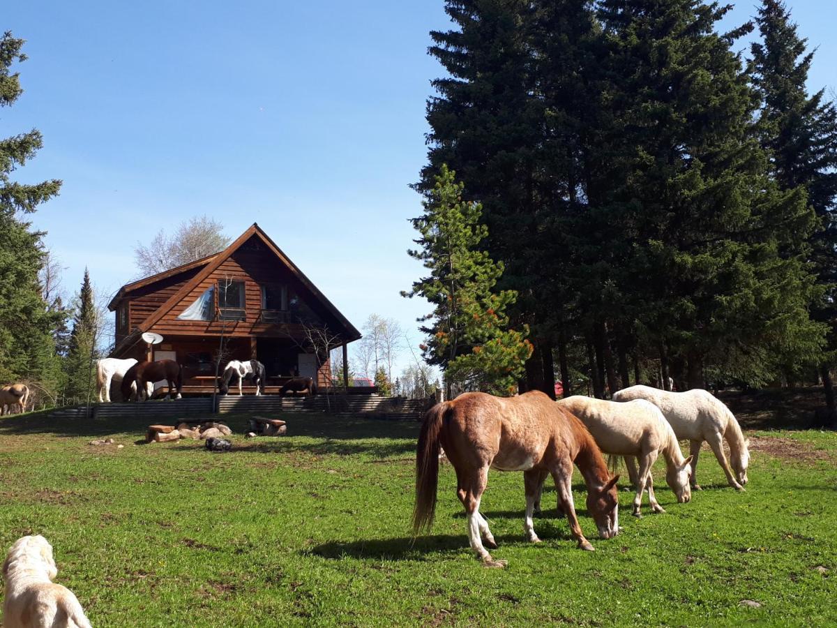 Wettstone Guest Ranch Bed & Breakfast Bridge Lake Dış mekan fotoğraf